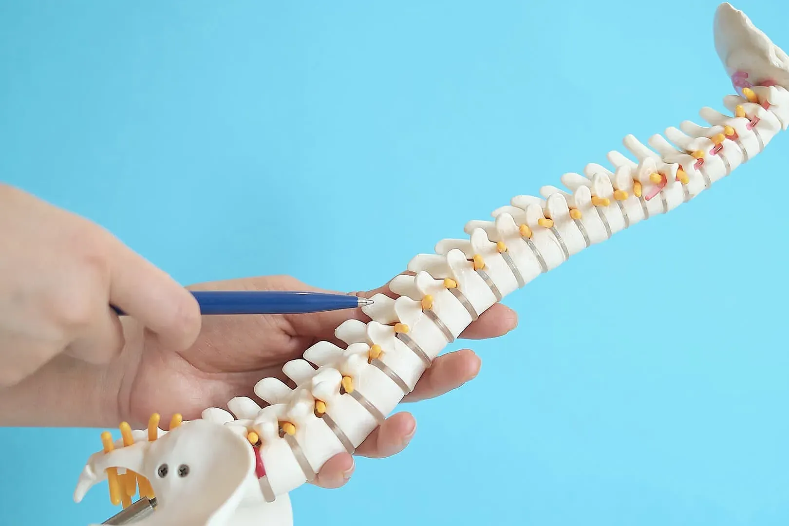 Flaval Ligament Thickening – Causes, Symptoms, and Treatments